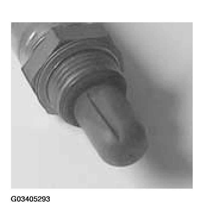 G03405293