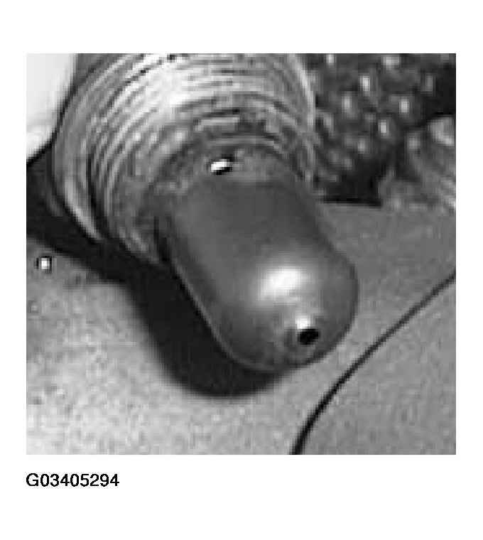 G03405294