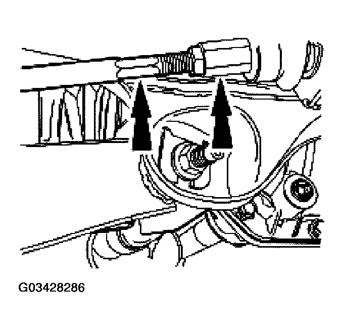 G03428286