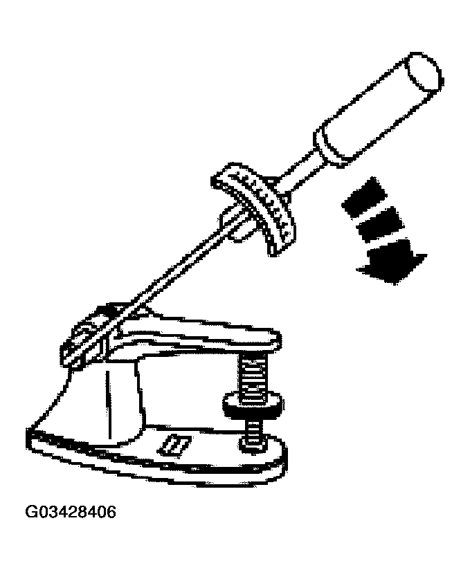 G03428406