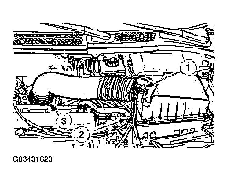 G03431623