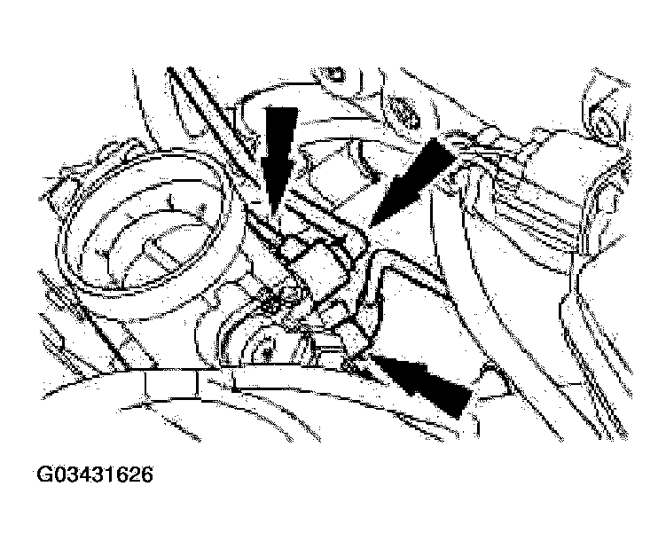 G03431626