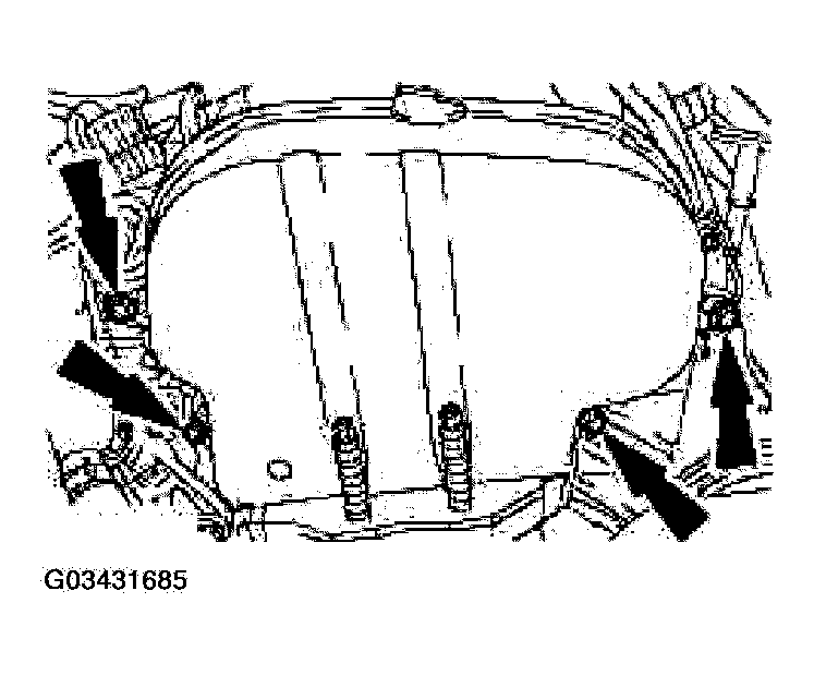 G03431685