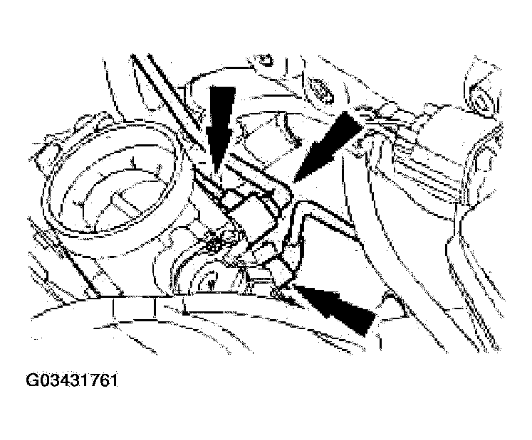G03431761