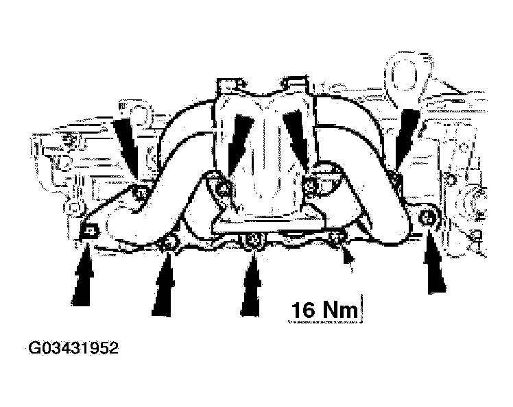 G03431952
