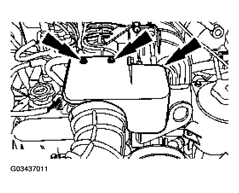 G03437011