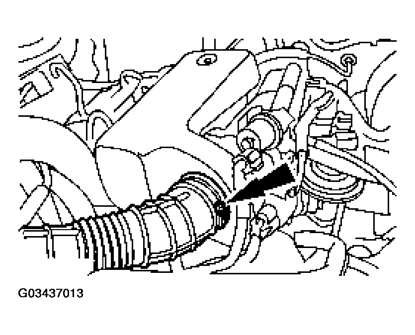G03437013