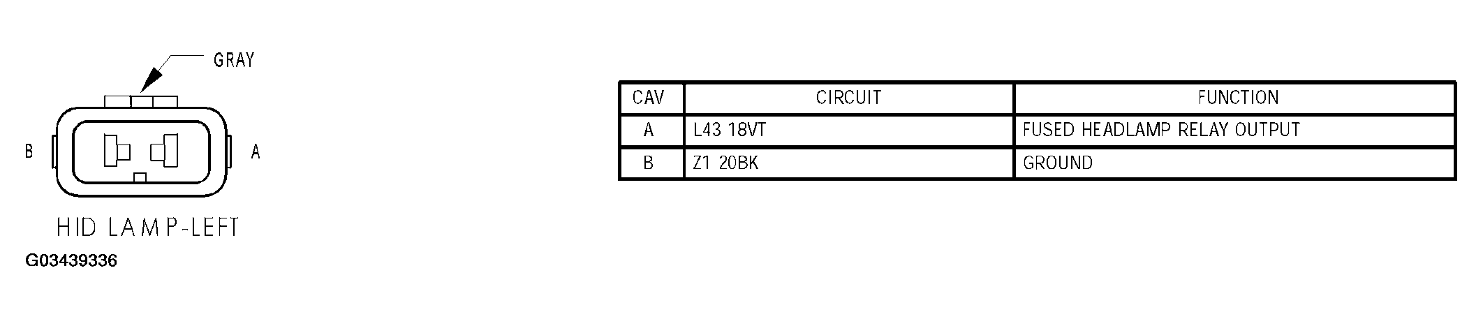 G03439336