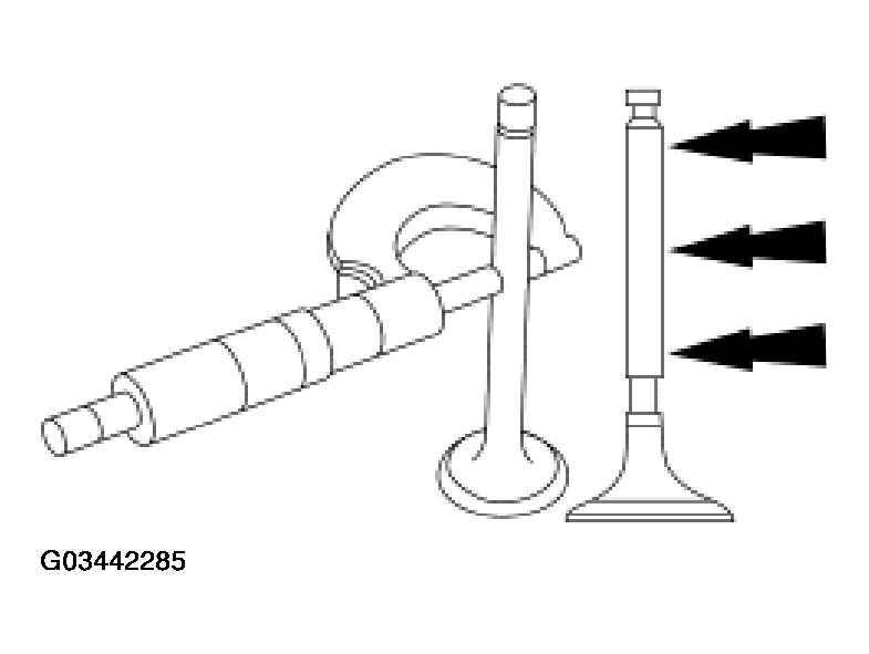 G03442285