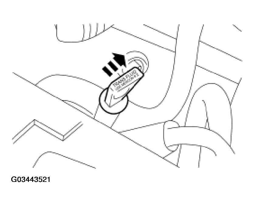 G03443521