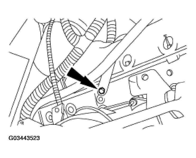 G03443523