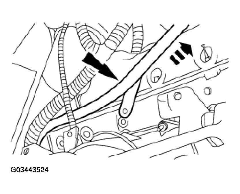 G03443524