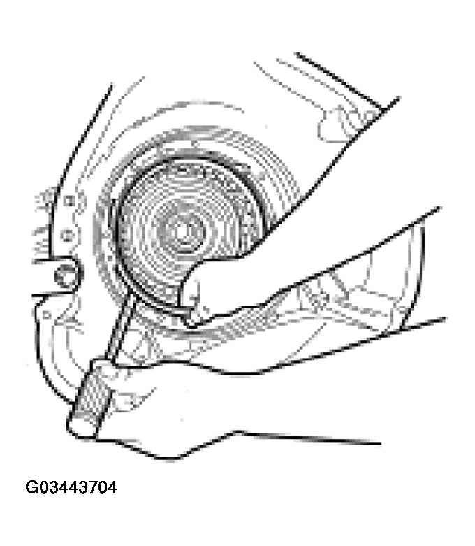 G03443704