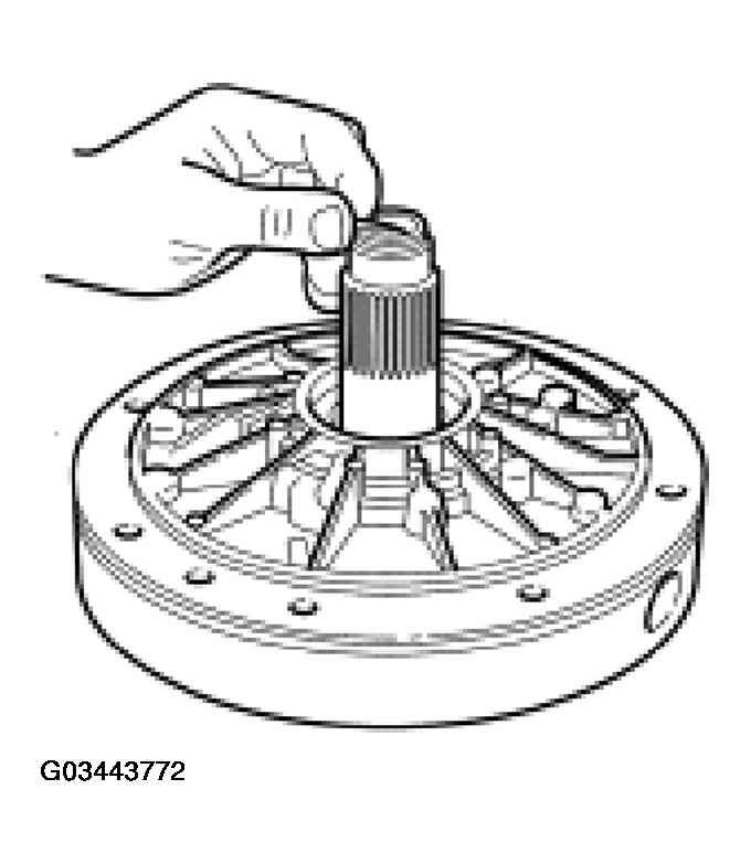 G03443772