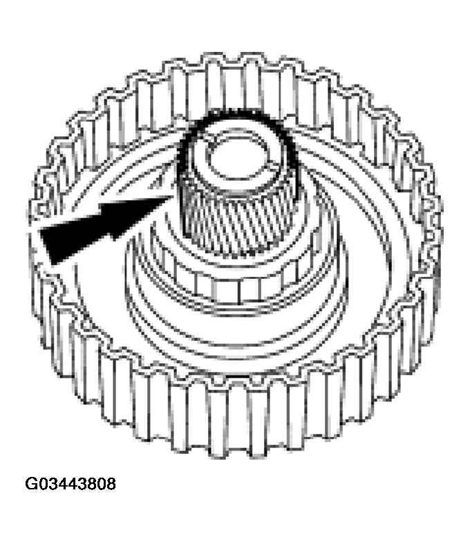 G03443808