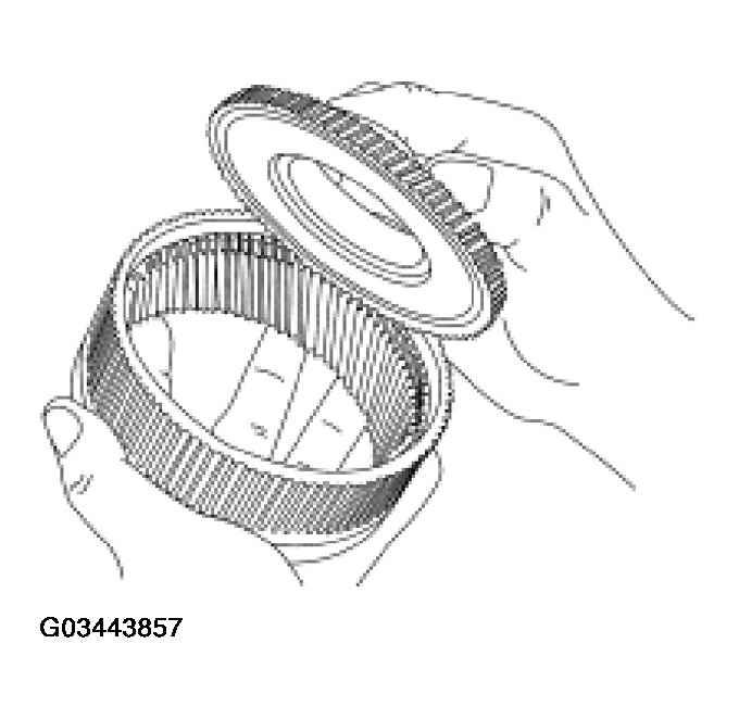 G03443857