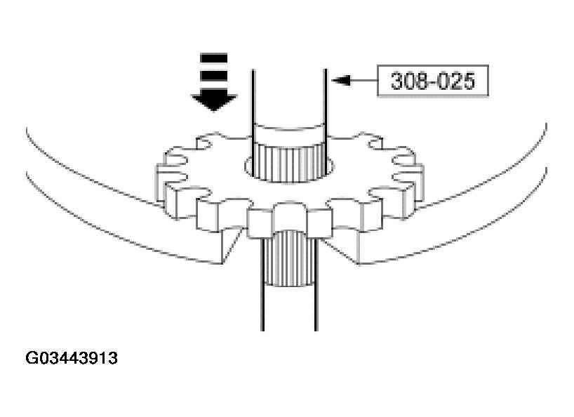 G03443913