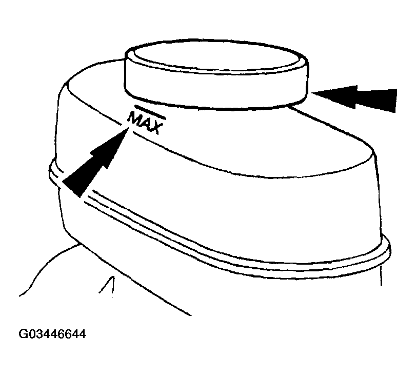 G03446644