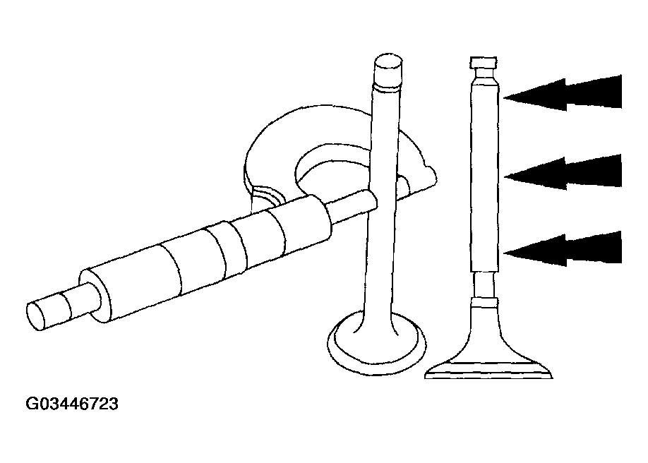 G03446723
