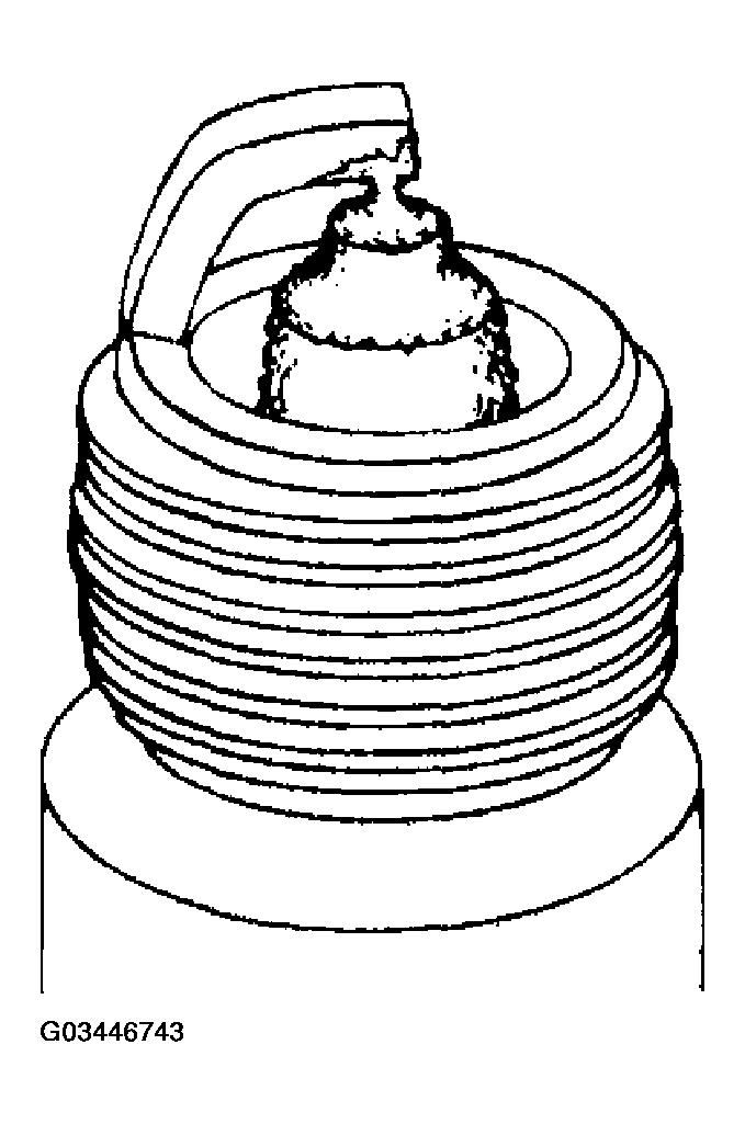 G03446743