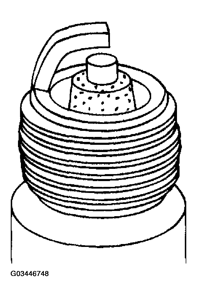 G03446748