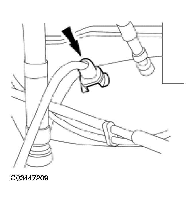 G03447209