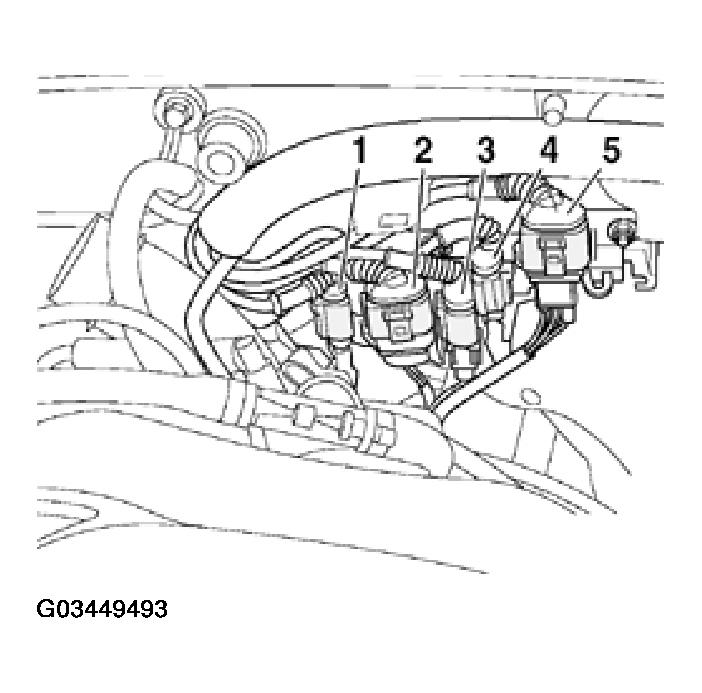G03449493