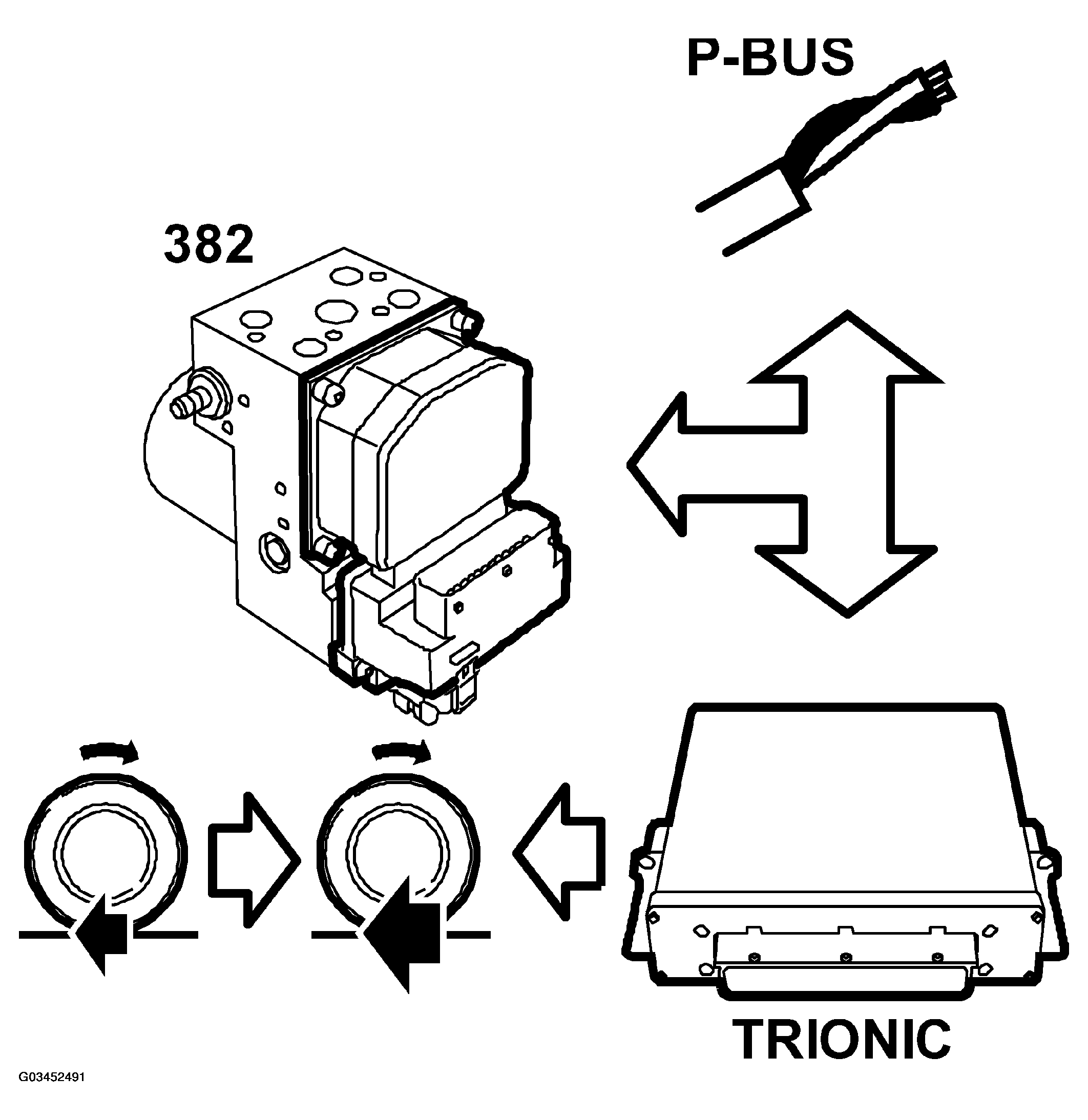 G03452491