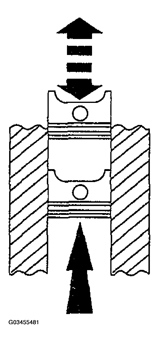 G03455481