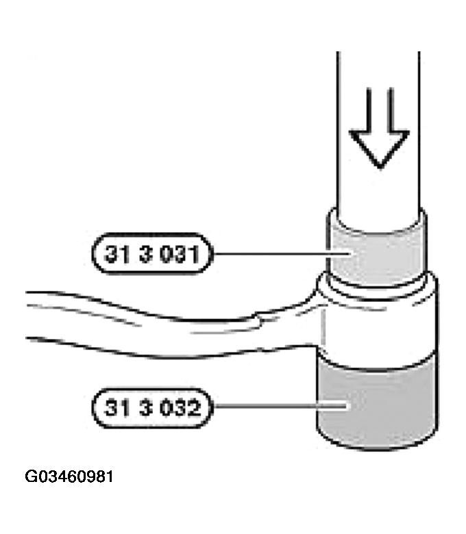 G03460981