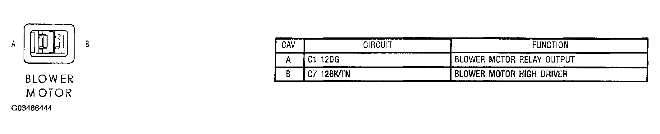 G03486444