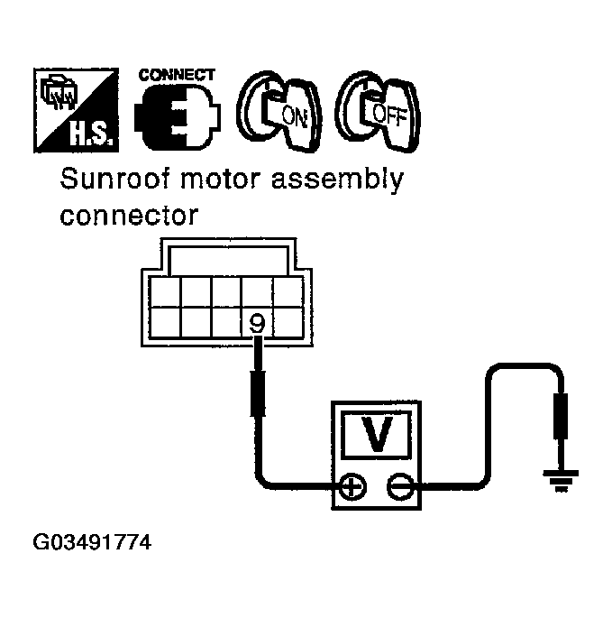 G03491774