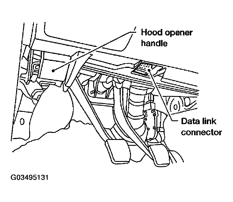 G03495131