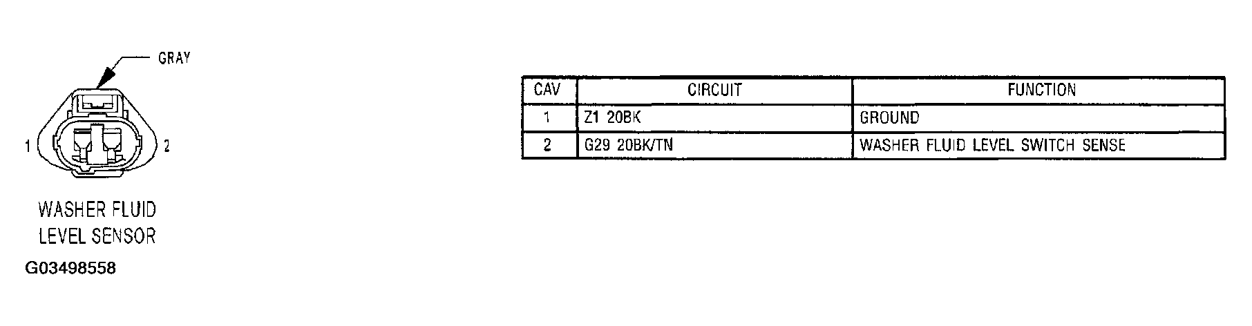 G03498558