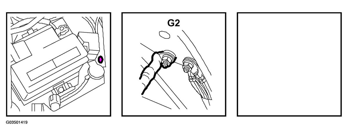 G03501419