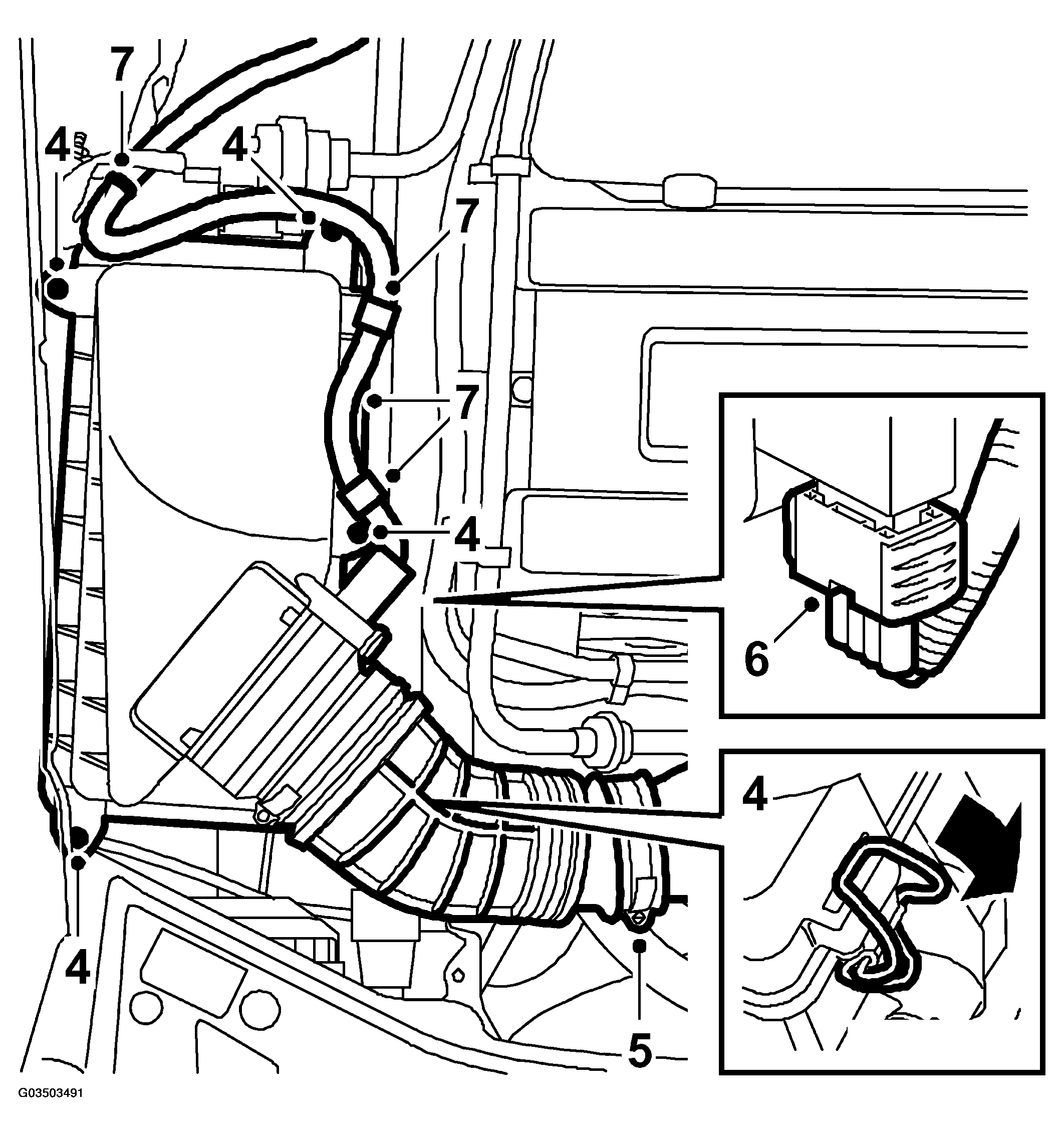 G03503491