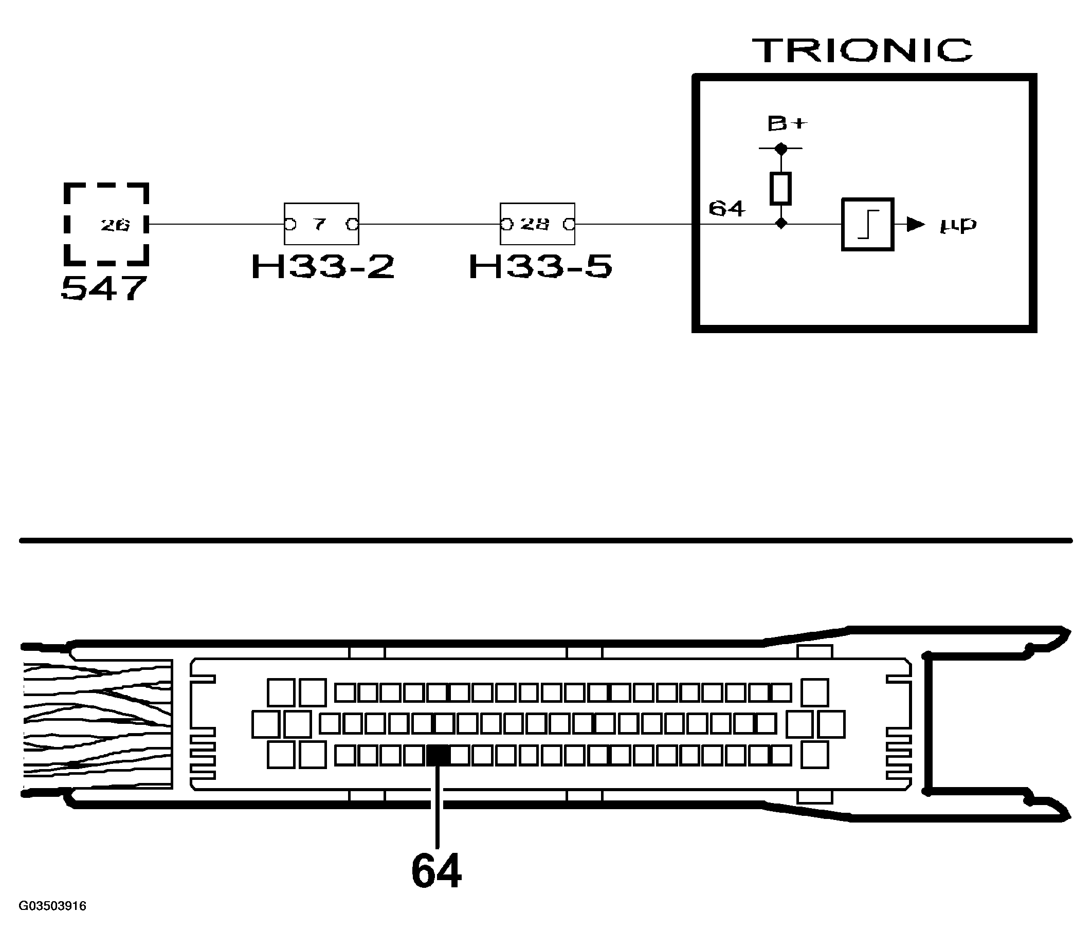 G03503916
