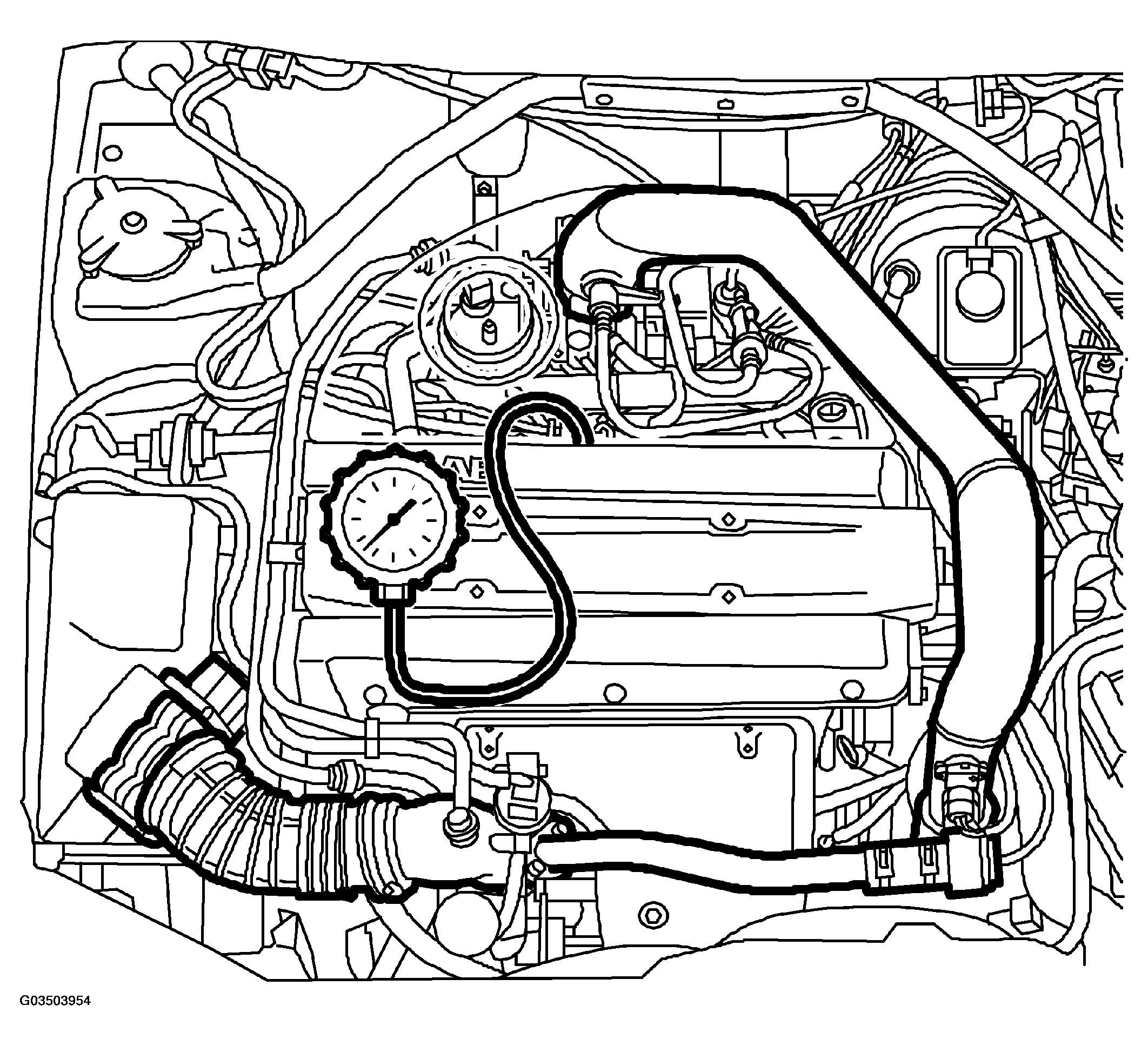 G03503954