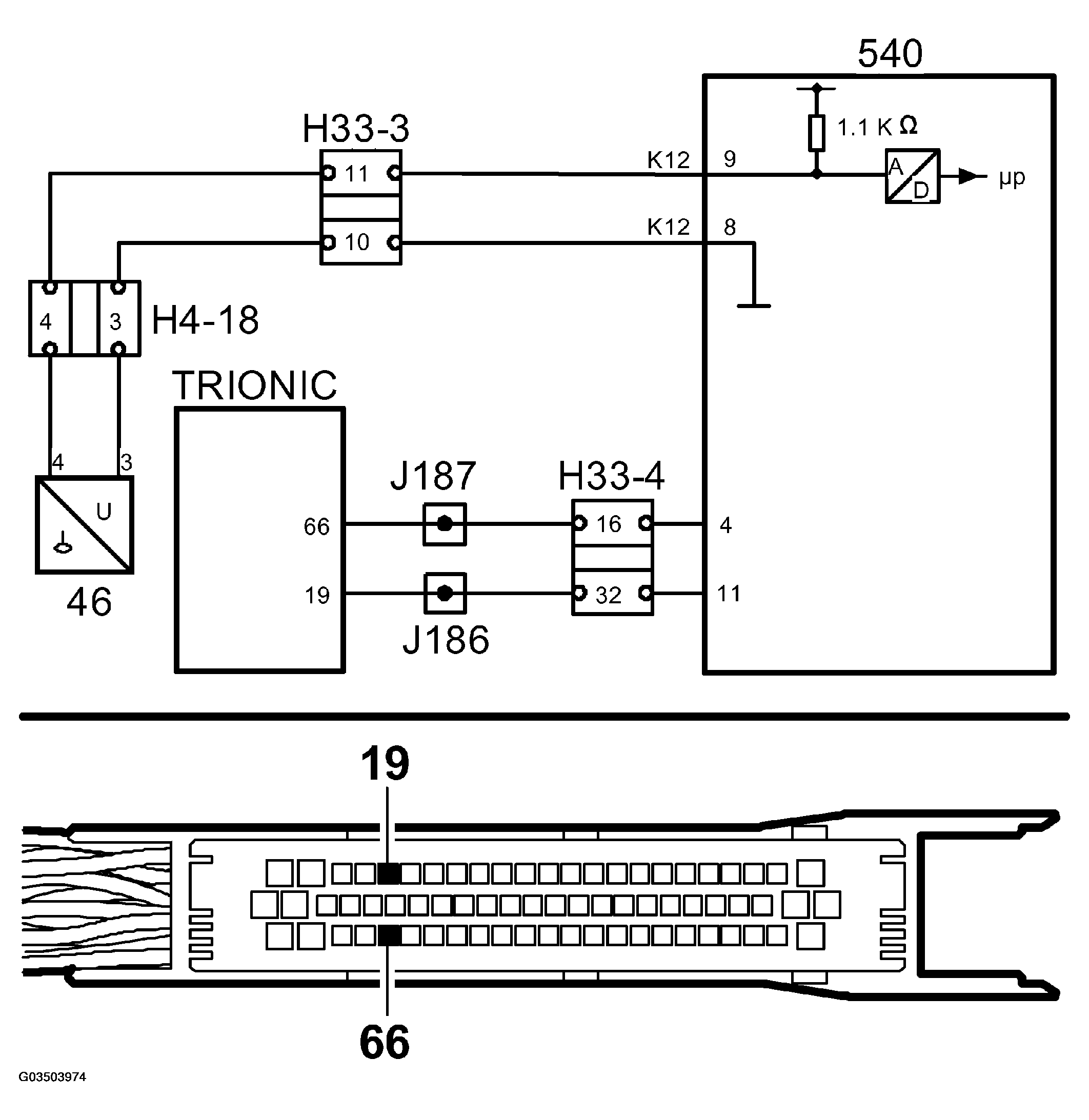 G03503974