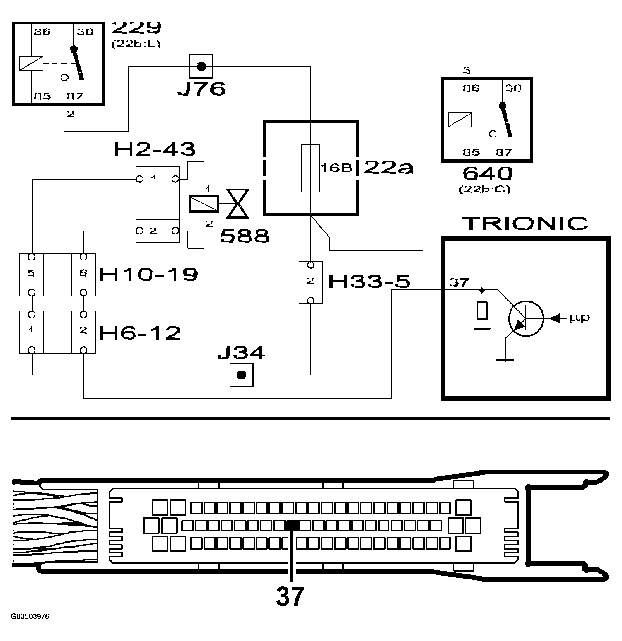 G03503976