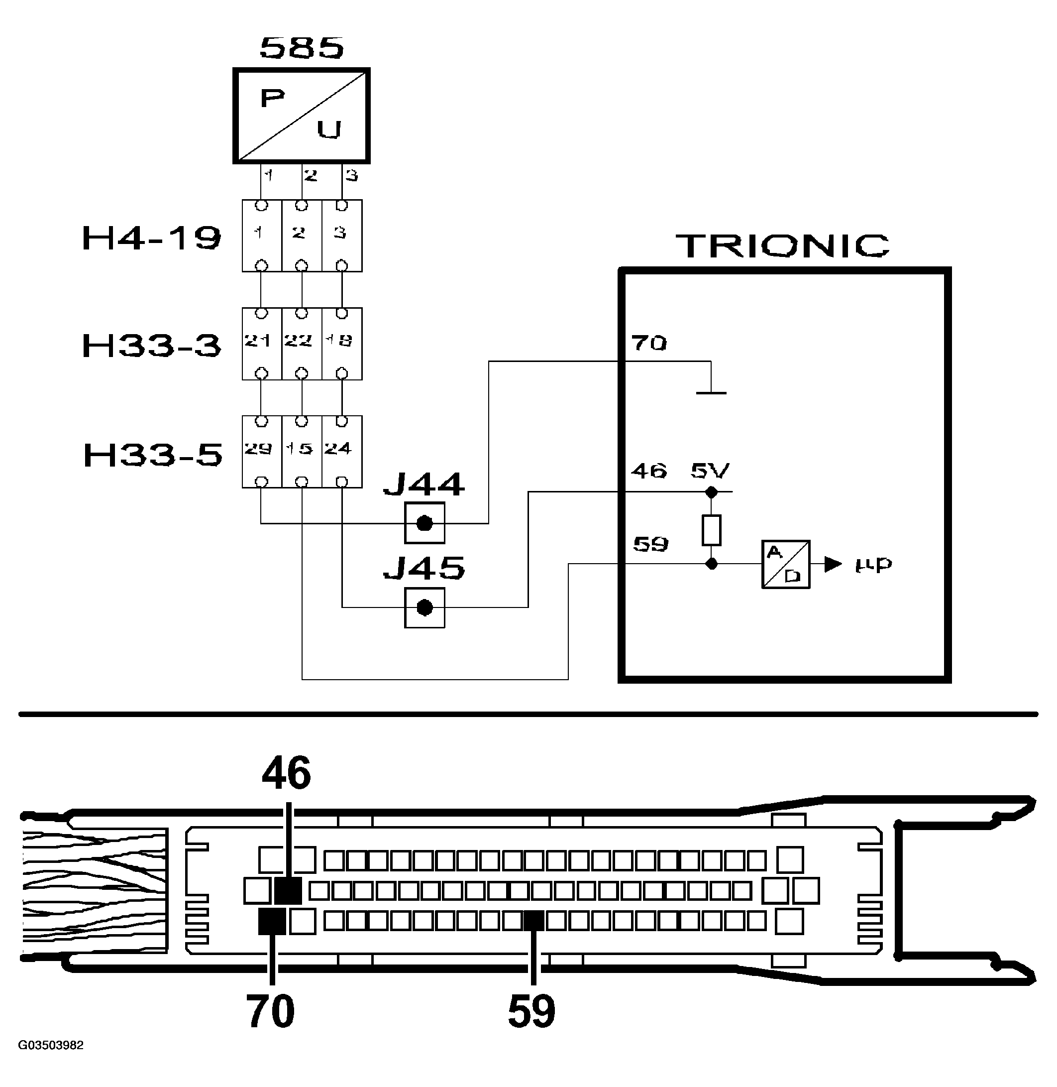 G03503982