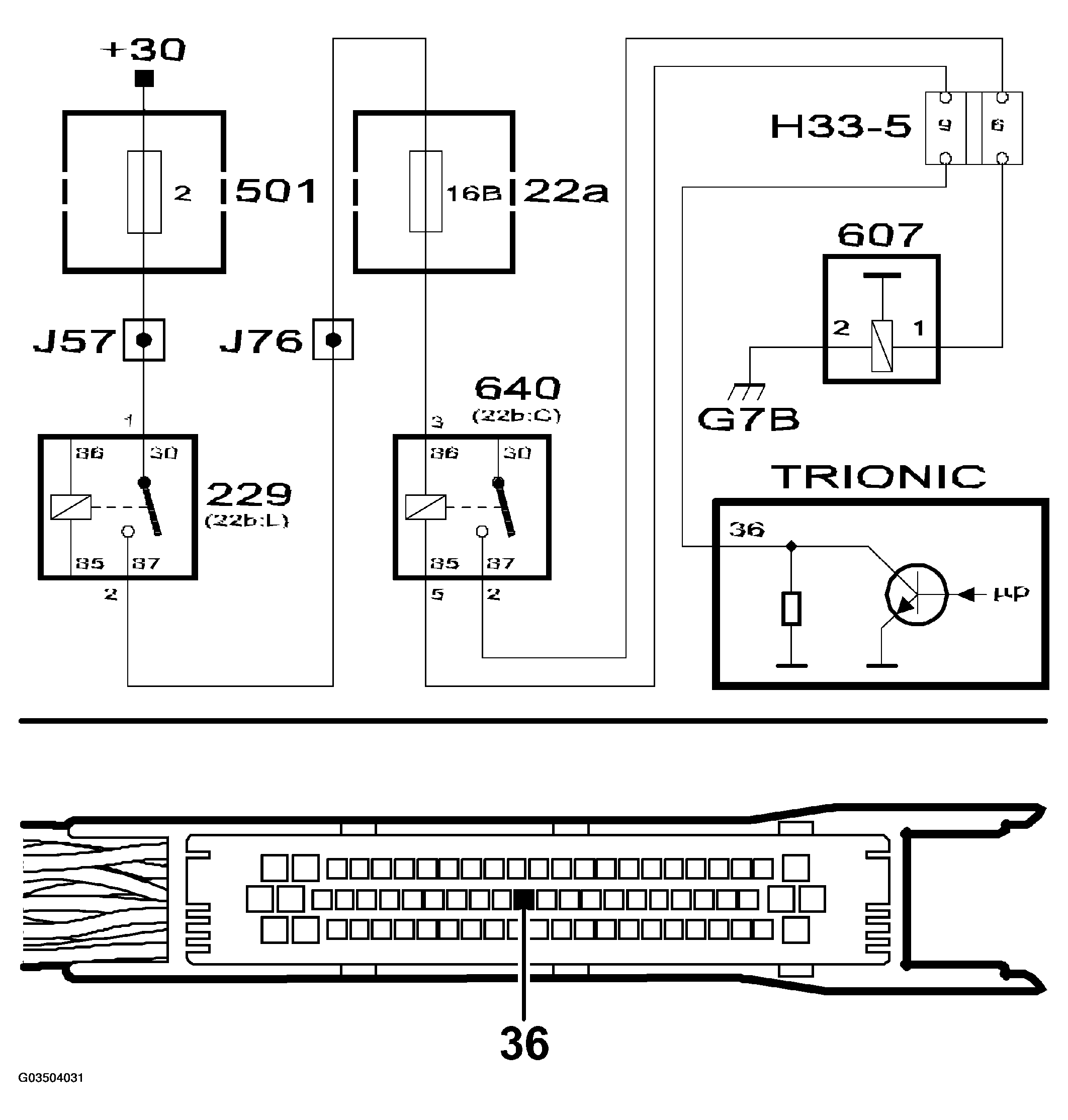 G03504031