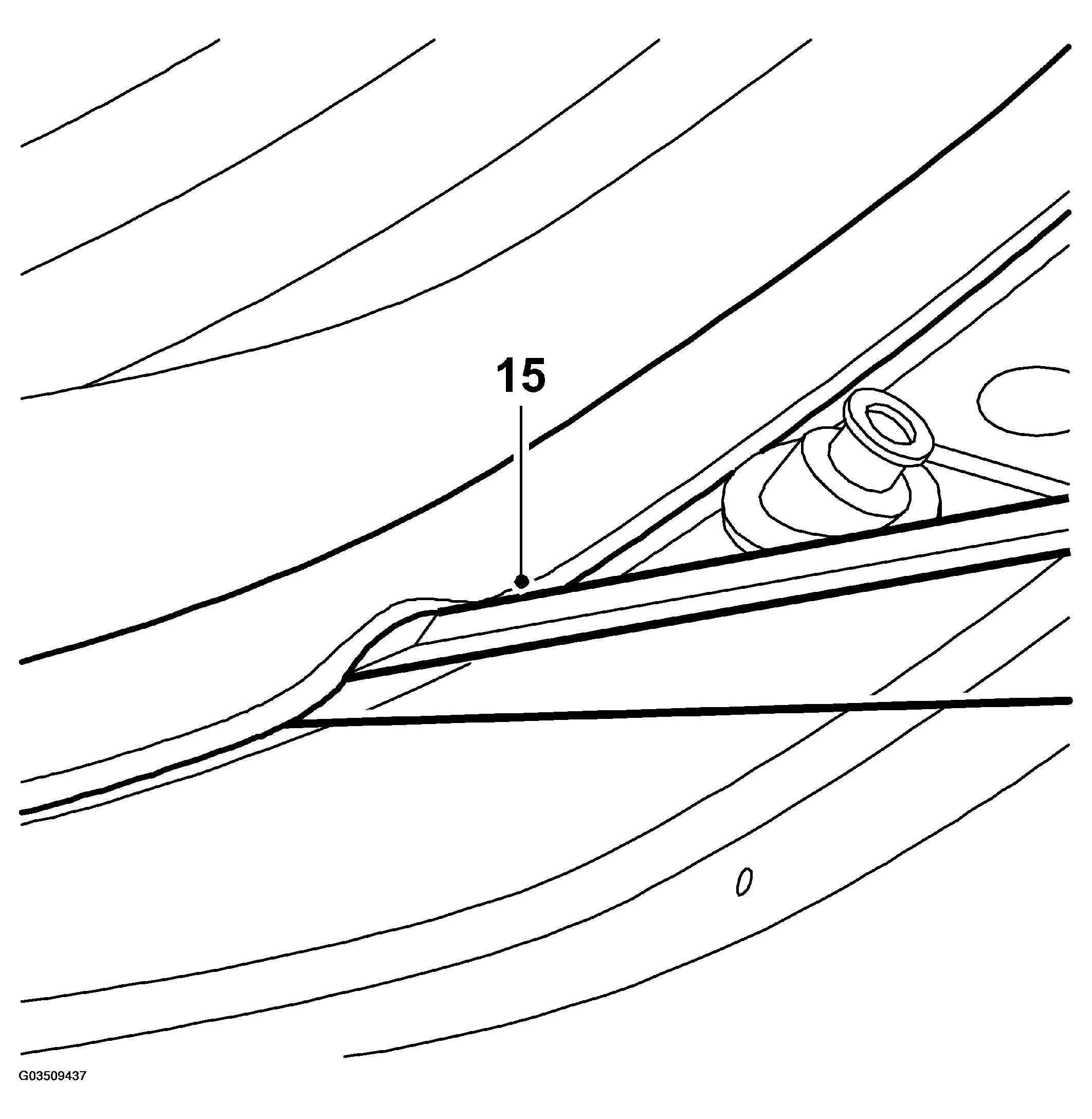 G03509437