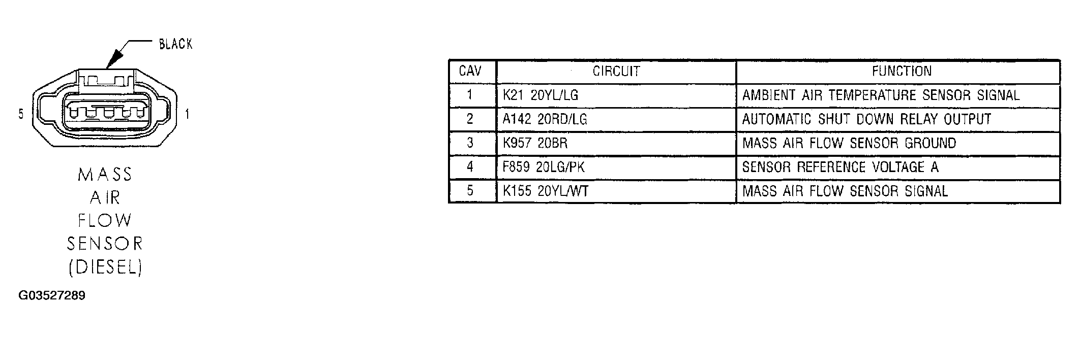 G03527289