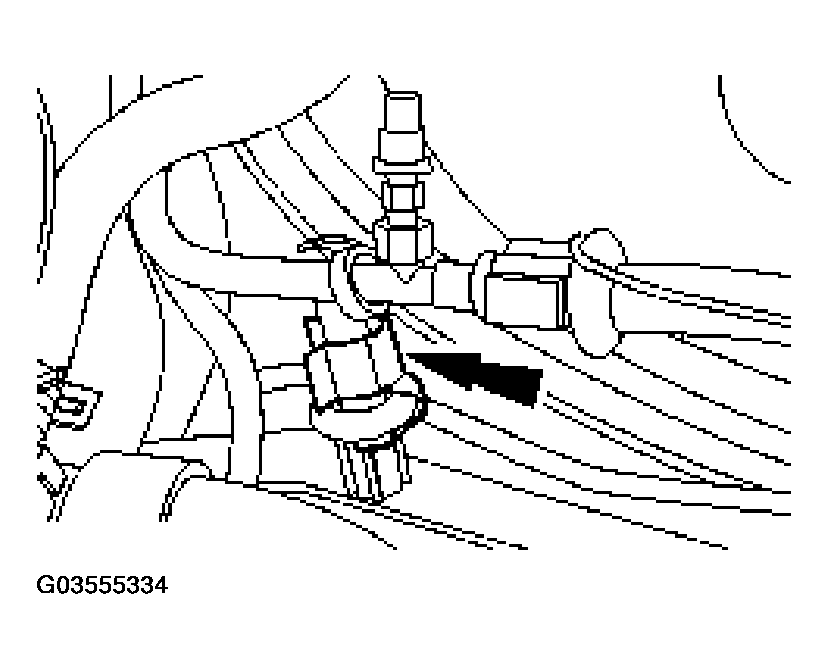 G03555334