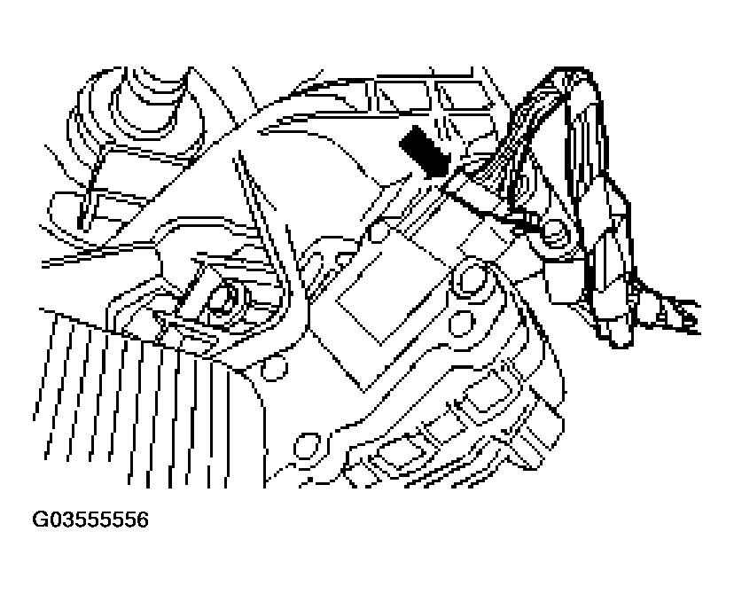 G03555556