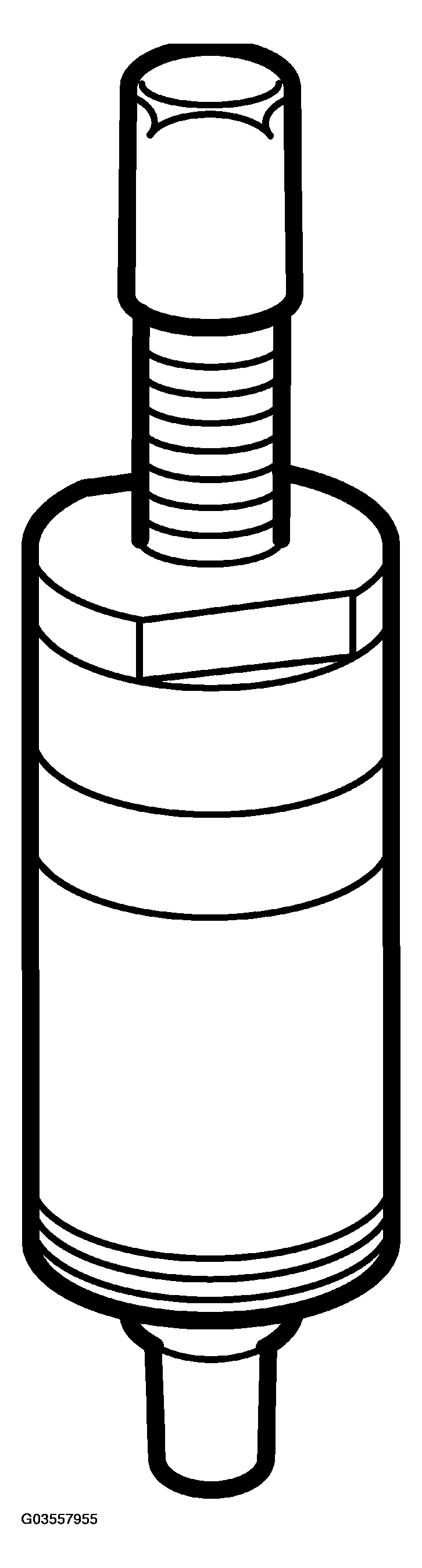 G03557955