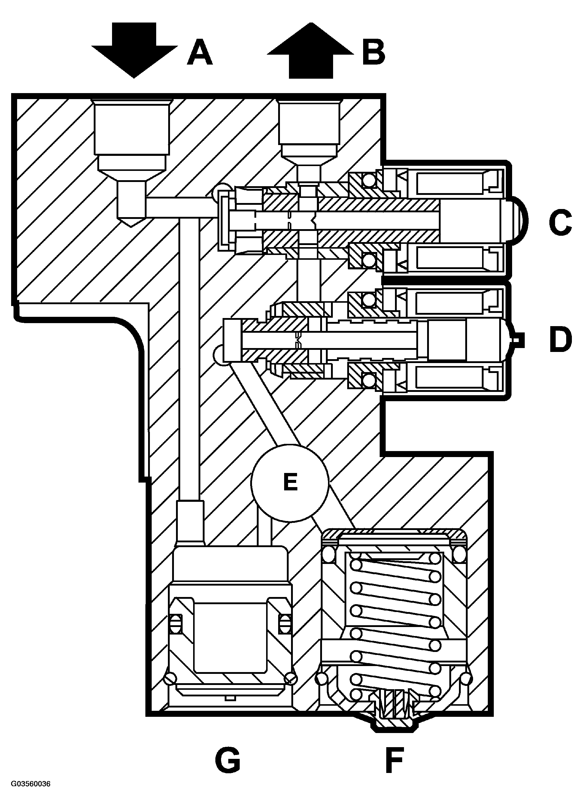 G03560036