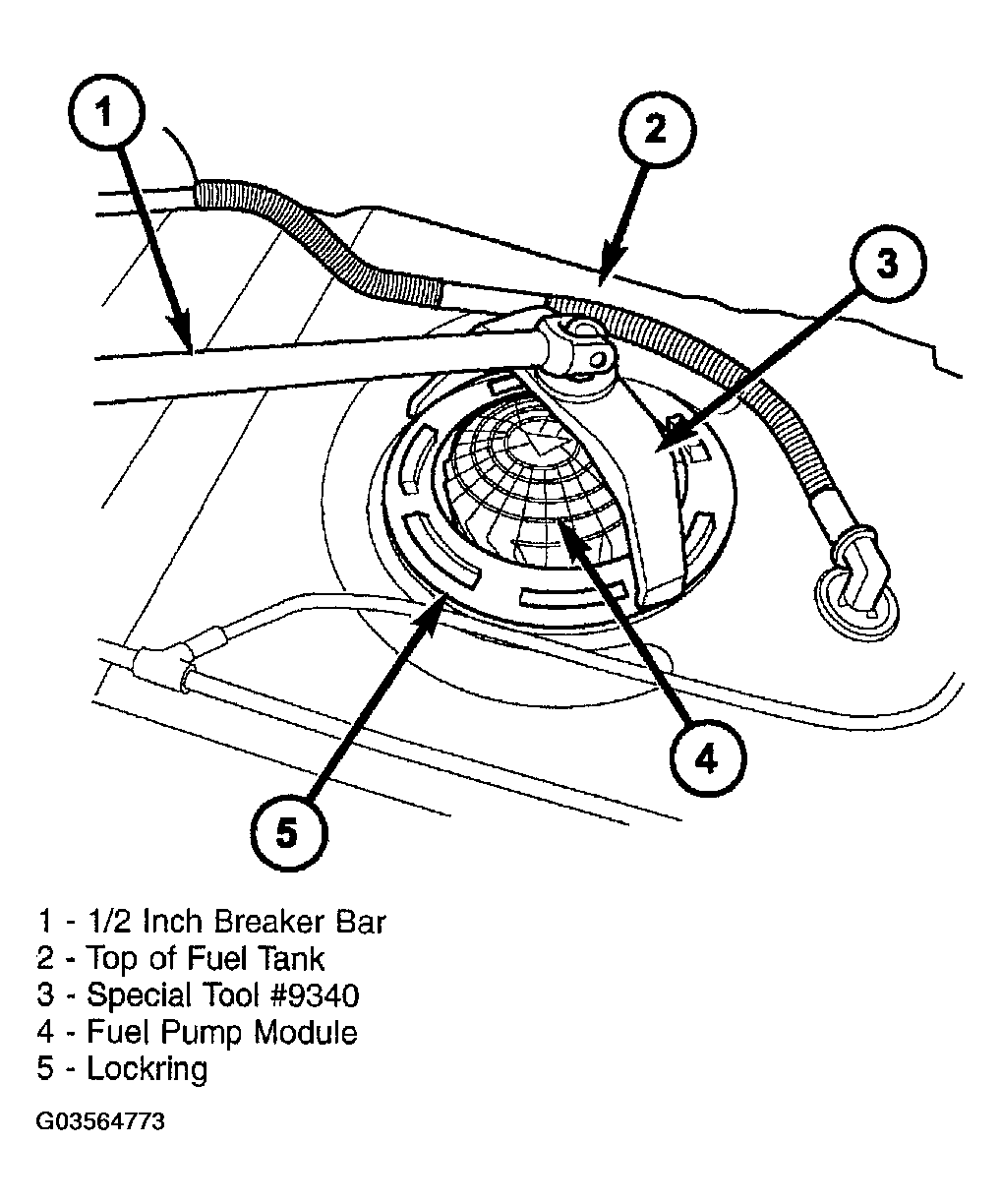 G03564773
