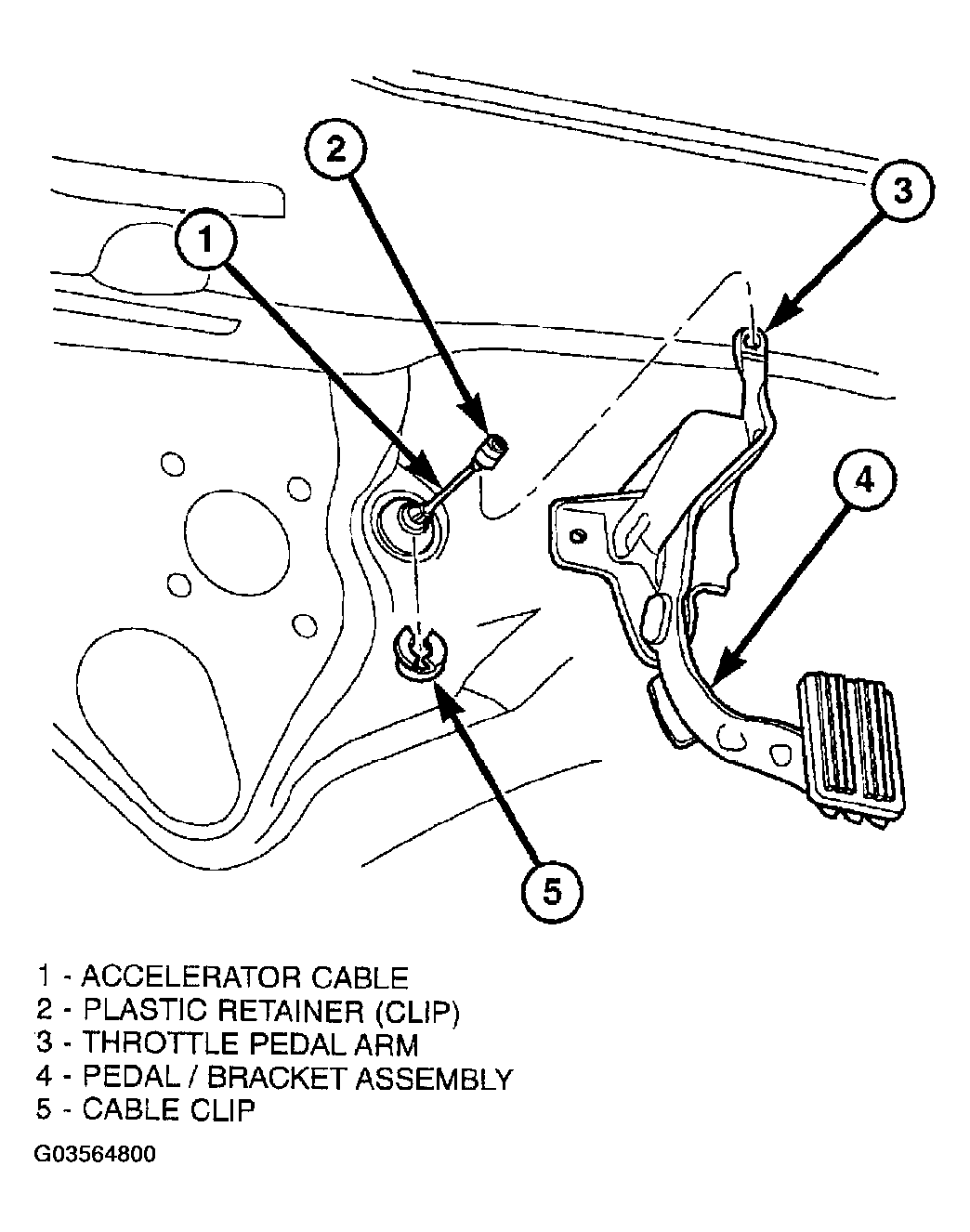 G03564800